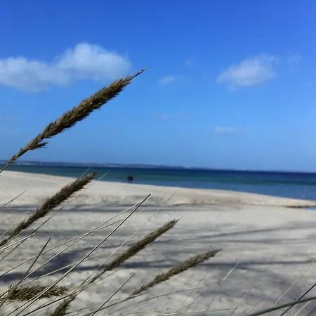 Moderne Strandvilla Strandnah Dach Resort